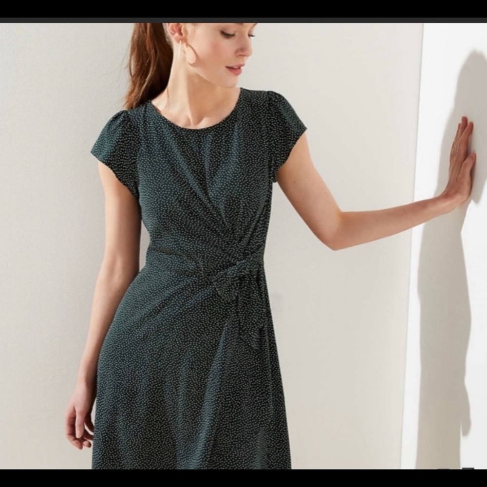 LOFT flutter sleeve cotton dress polka dots